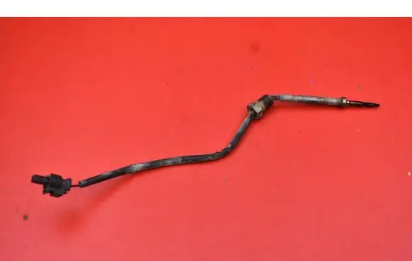 BMW X1 E84 Sensor 7805607