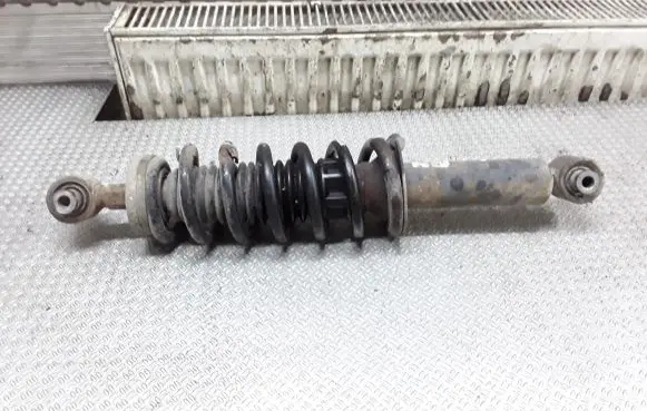 Peugeot 407 Rear shock absorber with coil spring 