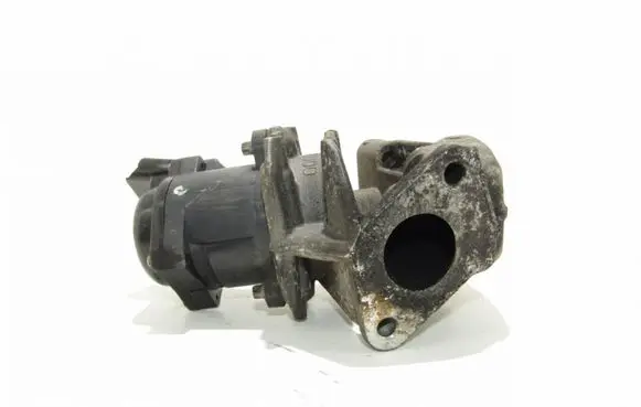 Ford Focus C-MAX EGR valve EN48000