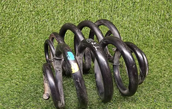 Rear coil spring