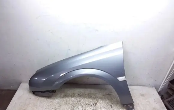 Opel Signum Fender