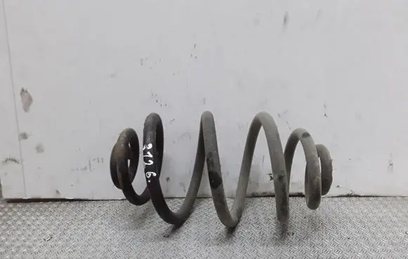 Rear coil spring
