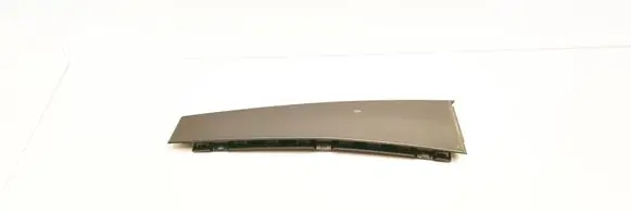 Rear door glass trim molding