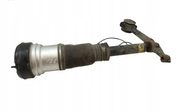 Mercedes-Benz S W220 Front shock absorber/damper 