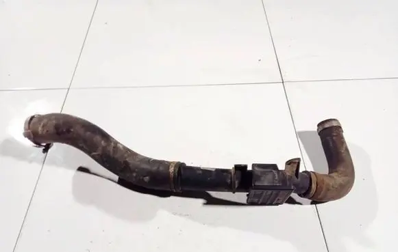 Renault Kangoo II Engine coolant pipe/hose 8200534296