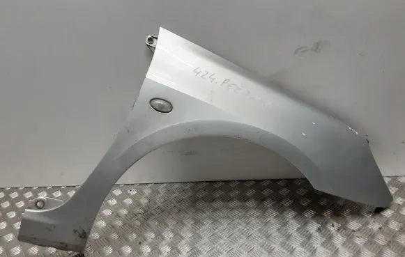 Peugeot 307 Fender