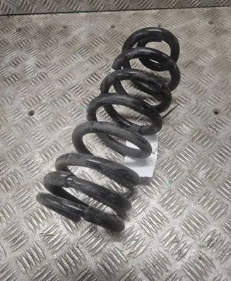 Rear coil spring
