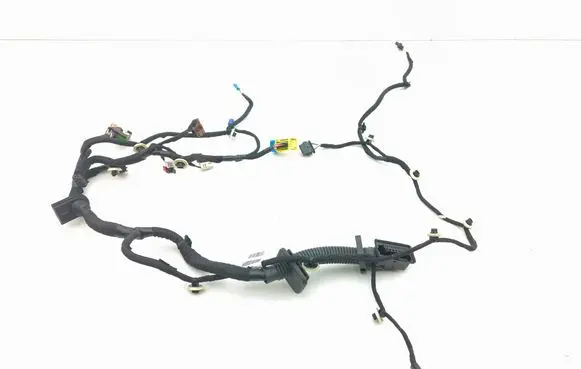 Front door wiring loom