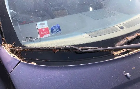 Volvo XC90 Front wiper blade arm