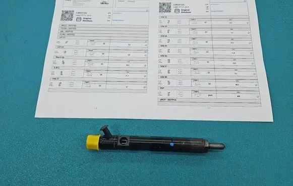 Renault Kangoo I Fuel injector EJBR05102D IMPRK1558432