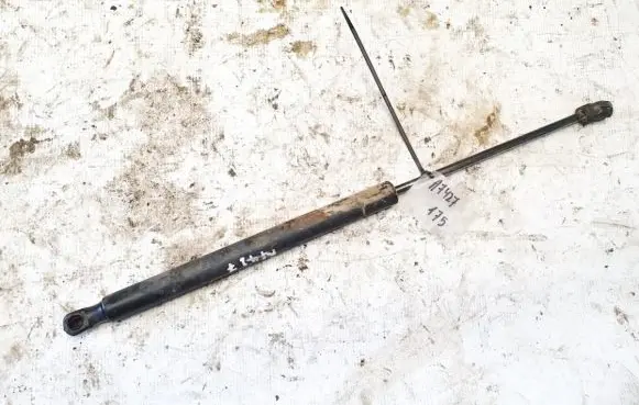 Tailgate/trunk strut/damper