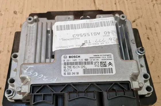 Peugeot 3008 I Other control units/modules 9666824080