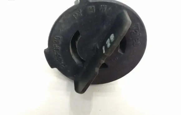 Fiat Scudo Tail light bulb cover holder