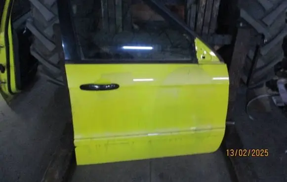 Ford S-MAX Front door