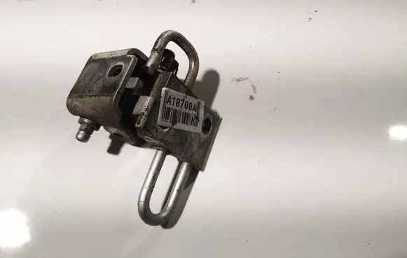 Rear door lower hinge