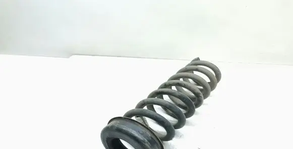 Rear coil spring