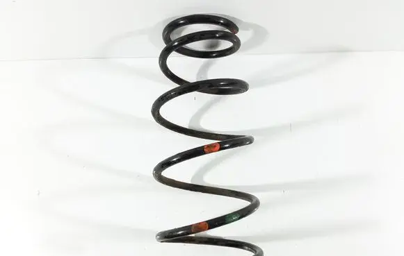 Rear coil spring
