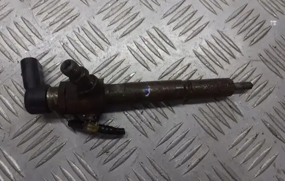 Renault Megane II Fuel injector