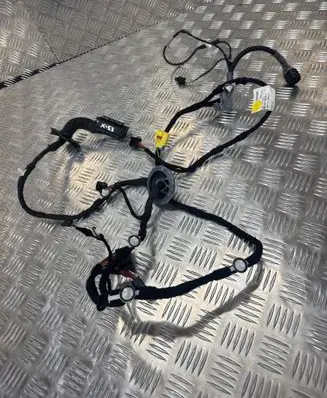Audi Q5 SQ5 Front door wiring loom 8R0971030G