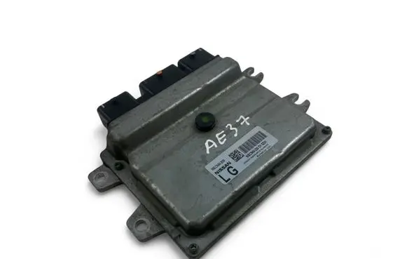 Engine control unit/module ECU