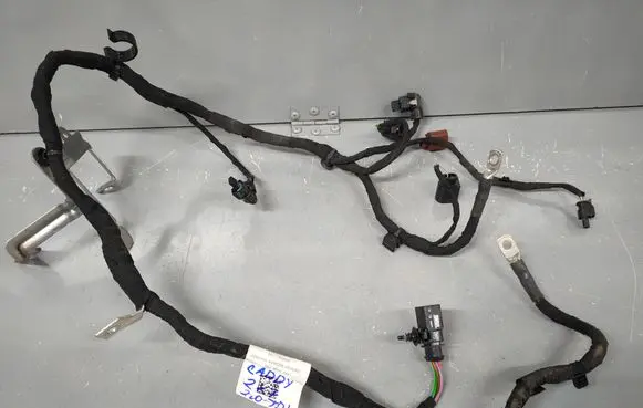 Volkswagen Caddy Wires (generator/alternator) 5R3971230CL