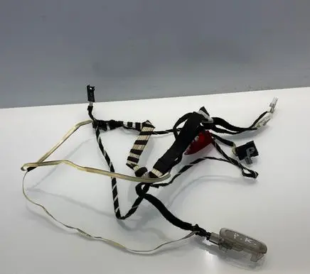 Mercedes-Benz S W221 Front door wiring loom 2215402807 A2215402807