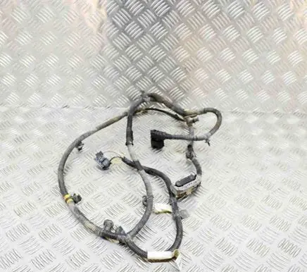 Tesla Model 3 Other wiring loom 106876901D
