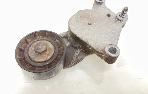 Citroen C3 Generator/alternator belt tensioner 825809 TF114