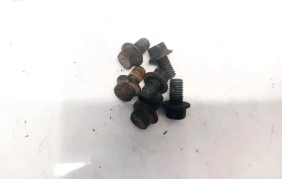 Nuts/bolts
