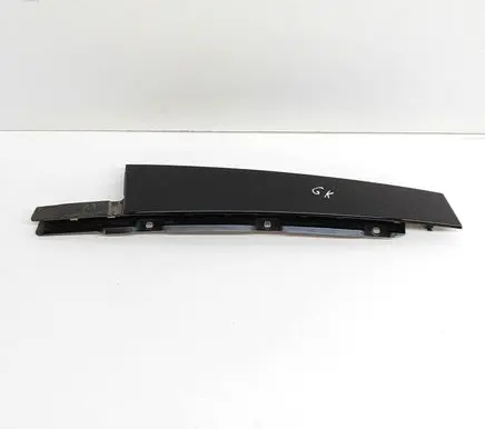 Rear door glass trim molding