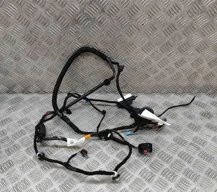Rear door wiring loom