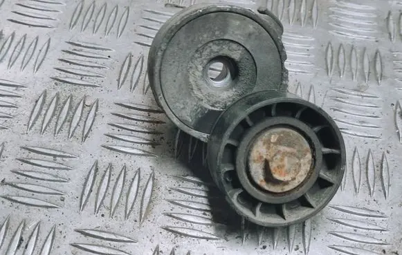 Fiat Punto (199) Generator/alternator belt tensioner