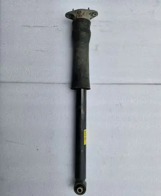 Buick Encore GX I Rear shock absorber/damper 60005110