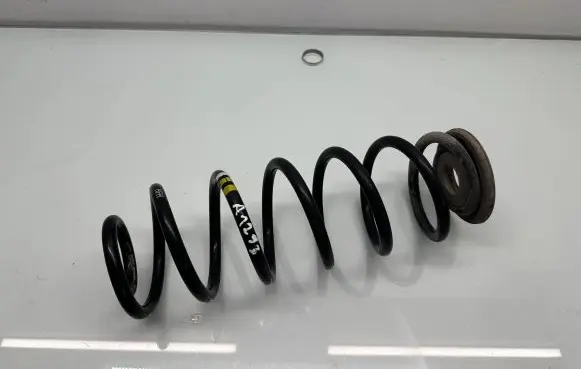 Volkswagen Golf Plus Rear coil spring