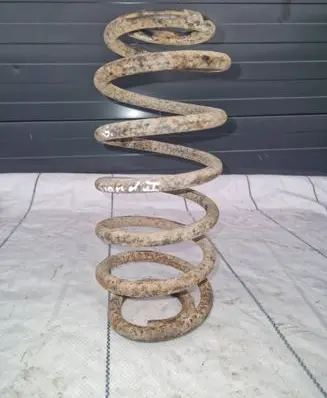 Rear coil spring