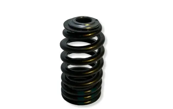 Dodge Challenger Valve spring 