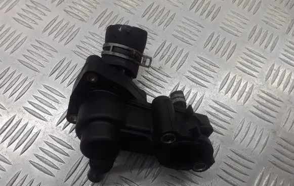 Thermostat/thermostat housing
