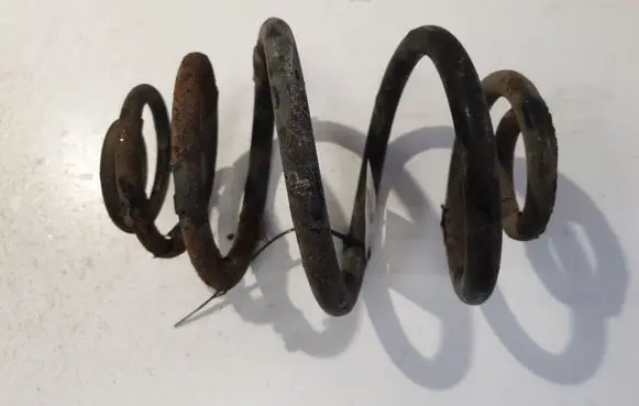 Rear coil spring