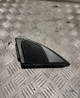 Front door speaker