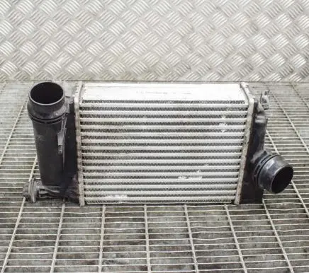 Nissan Qashqai Intercooler radiator 144614EA1A