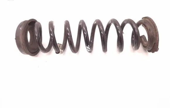 Rear coil spring