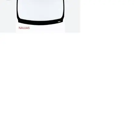 Opel Vivaro Front windscreen/windshield window 