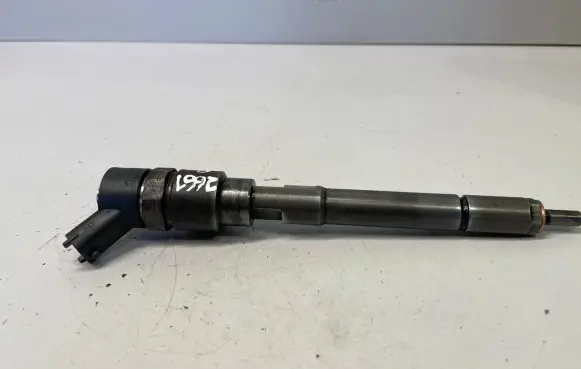 Hyundai Santa Fe Fuel injector 0445110254 3380027800