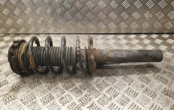 Skoda Octavia Mk2 (1Z) Front shock absorber with coil spring 312267