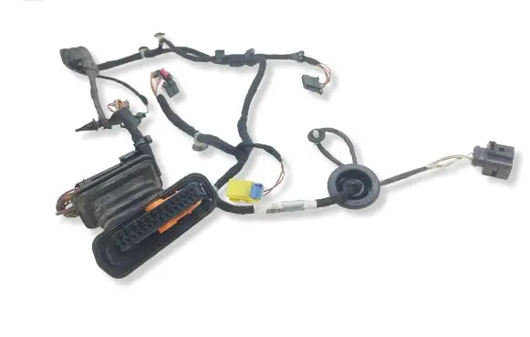 Volkswagen PASSAT B7 Front door wiring loom 3AB971120AG 987614301 TAB016297FF