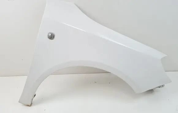 Skoda Roomster (5J) Fender