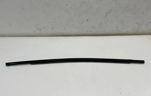 Ford Mustang Mach-E Rear door glass trim molding LJ8BR20562AD