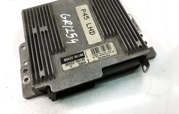 Hyundai Accent Engine control unit/module ECU 3910022450