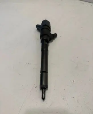 Hyundai Santa Fe Fuel injector 0445110254