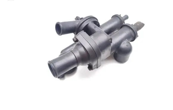Thermostat/thermostat housing